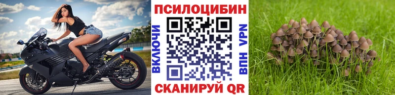 Псилоцибиновые грибы прущие грибы  MEGA ссылка  Унеча  цена наркотик 